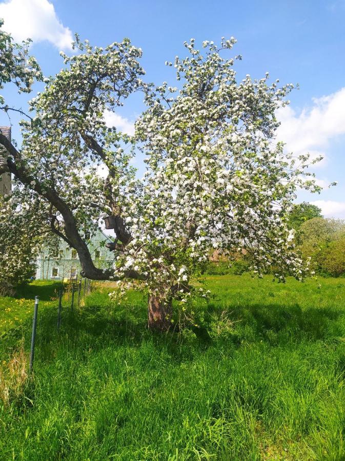 Polny Zakatek - Pokoje Goscinne Rybnica Εξωτερικό φωτογραφία
